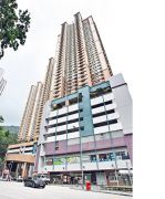 嘉峰台 牛池灣 低層 001250 售盤