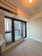 維港雙鑽 啟德 低層 1619442 售盤