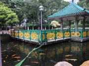 竹園北村 黃大仙 高層 T086187 售盤