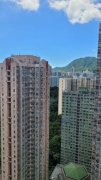 启德花园 横头磡 高层 T089035 售盘