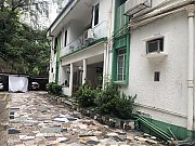 松園 屯門 低層 T010587 售盤