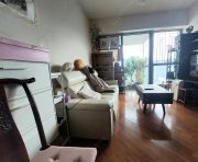 御龙山 沙田 高层 1624304 售盘