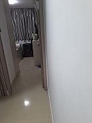 泮涌110号 大埔 S029601 售盘