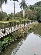 洞梓路 大埔 低層 B000257 售盤