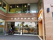 雅濤居 馬鞍山 低層 C196980 售盤