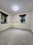 蘆慈田 大埔 地下 J136333 售盤