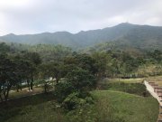 嵐山 大埔 1438618 售盤