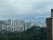 海港花園 牛池灣 高層 F086532 售盤