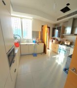 晋名峰 沙田 高层 015262 售盘