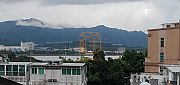 大埔市中心 大埔 高层 B001286 售盘