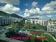 畢架山一號 九龍塘 K129939 售盤