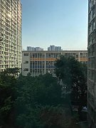 黄大仙下村 横头磡 中层 F168446 售盘