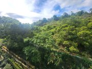 澐沣 沙田 中层 1530766 售盘