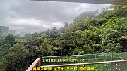 畢架山一號 九龍塘 K128178 售盤