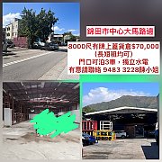 永隆围173号B 元朗 C497295 售盘
