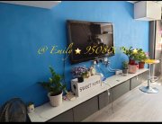 下禾輋 沙田 A038475 售盤