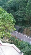 新麗花園 牛池灣 低層 D135048 售盤