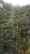 新麗花園 牛池灣 低層 D132915 售盤