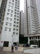 翠竹花园 黄大仙 低层 F124823 售盘