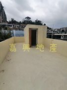 銅鑼灣村 沙田 全幢 H060777 售盤