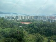 鹿茵山莊 大埔 低層 1631958 售盤