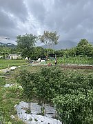 七星崗 元朗 Y035286 售盤