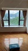 清水湾半岛 将军澳 低层 1556093 售盘