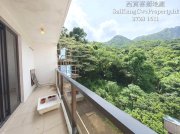 清靜山林*1/F連露台*可養寵物 西貢 029499 售盤