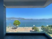 天赋海湾 大埔 1532240 售盘