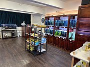 通菜街152號 旺角 低層 K202963 售盤