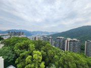 澐瀚 沙田 高層 1616868 售盤