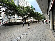 柏麗購物大道 尖沙咀 010985 售盤