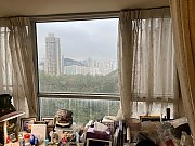 海港花园 牛池湾 D082940 售盘