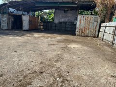 坪輋 粉嶺 013196 售盤