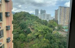 愉景花園 沙田 高層 A010024 售盤
