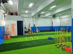 沙田工業中心 沙田 低層 K203917 售盤