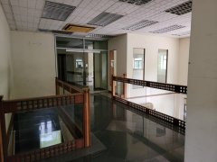 流水响 粉岭 Y037064 售盘