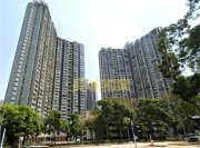 運頭塘村 大埔 高層 T040321 售盤