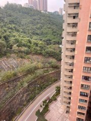 荔湾花园 荔枝角 中层 B064821 售盘