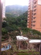 嘉峰台 牛池灣 低層 N125018 售盤