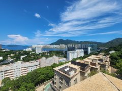 雍雅山 沙田 全幢 1741798 售盤