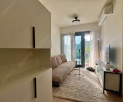 名日九肚山 沙田 高層 1730324 售盤