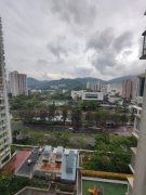 大埔中心 大埔 高層 G004541 售盤