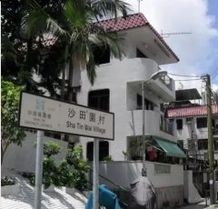 沙田围村 沙田 低层 1738858 售盘