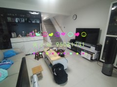 樟樹灘 大埔 C084259 售盤