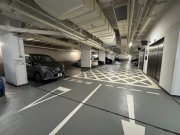 W LUXE 沙田 C137394 售盤