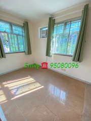 樟樹灘 大埔 A042346 售盤