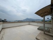 雍雅山 沙田 全幢 1639650 售盤