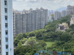 慈愛苑 黃大仙 高層 T125465 售盤