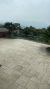 翡翠花園 大埔 全幢 1661688 售盤